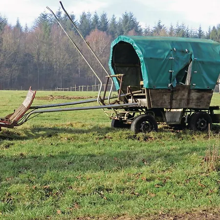 Cozy In With Wifi Daire