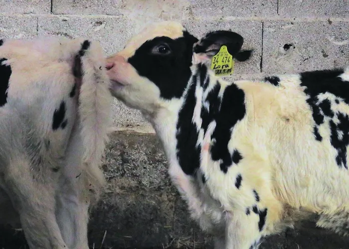 Cozy In With Wifi Apartament *