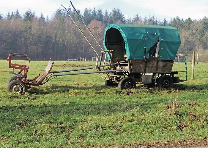 Cozy In With Wifi Apartament